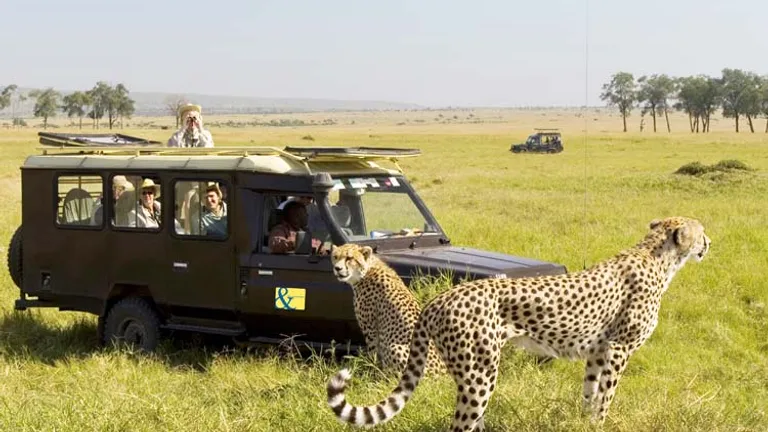 An-A&K-group-gets-up-close-with-cheetahs.--©-Karok A&K Abercrombie & Kent safari cheetah
