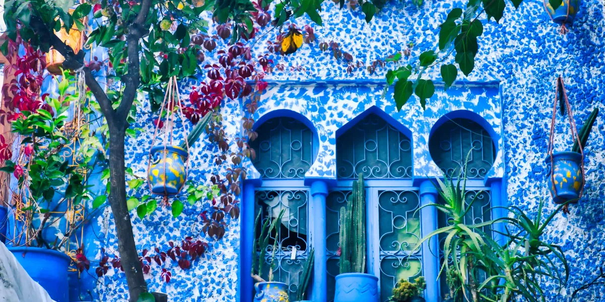 Blue building, plants, and hanging pots.