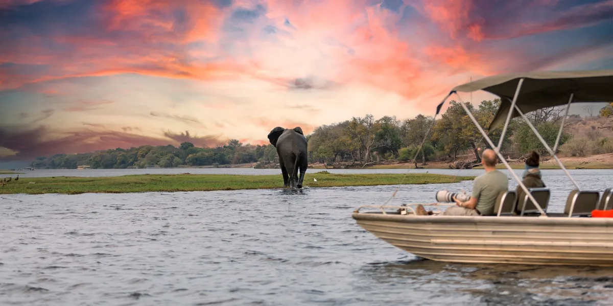 rs=w_1200,h_600,cg_true (6) Elephant in river, sunset safari boat.